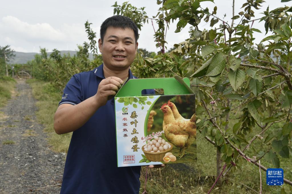 奔驰宝马游戏网址